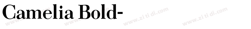 Camelia Bold字体转换 Camelia Bold字体转换